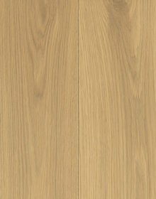 3418 Spalva Kriaušė