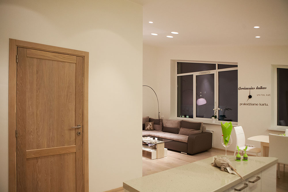 Solid oak wood door with 2 filings