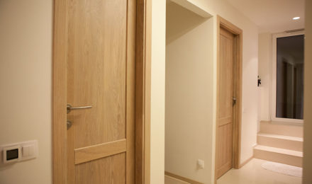 Solid oak wood door with 2 filings