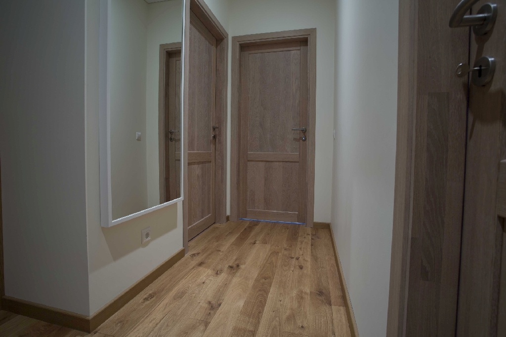 Solid oak wood door with 2 filings