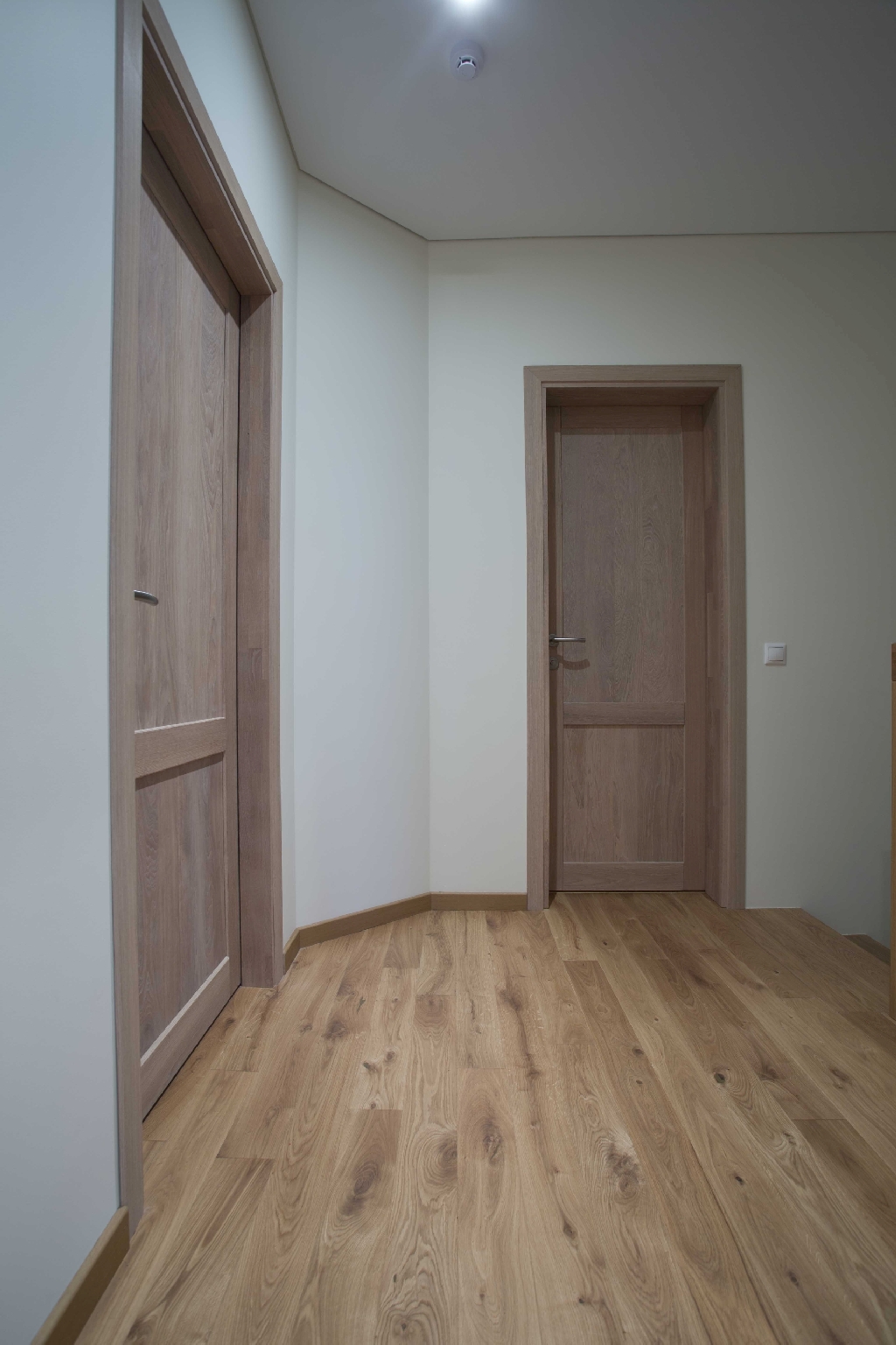 Solid oak wood door with 2 filings