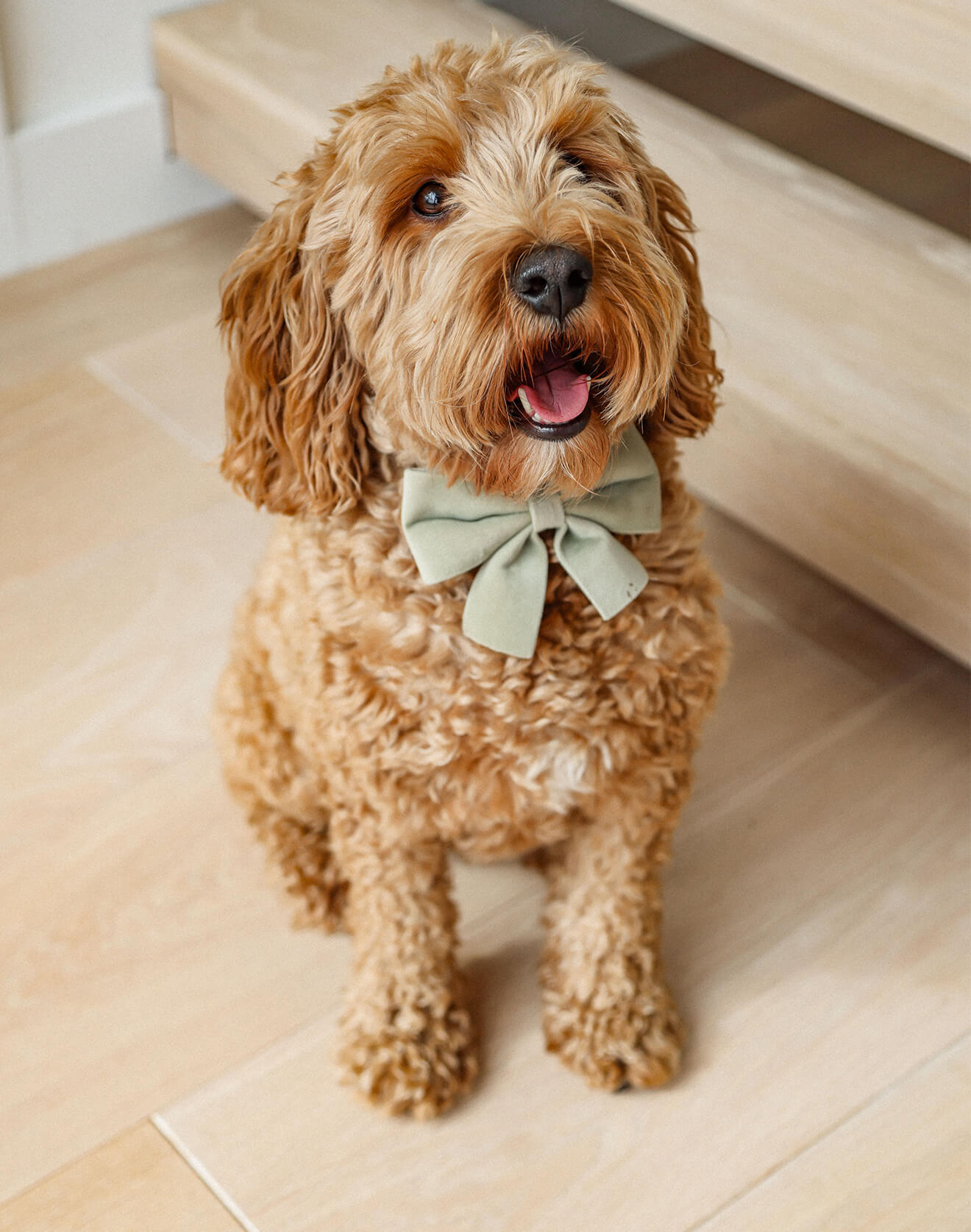 Ivory Colored Hardwood Flooring - Warm and Cosy British Interior