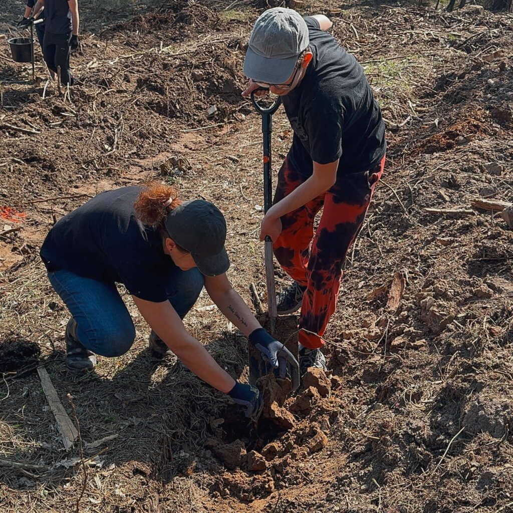 Continuing the Tradition of Planting Oak Trees