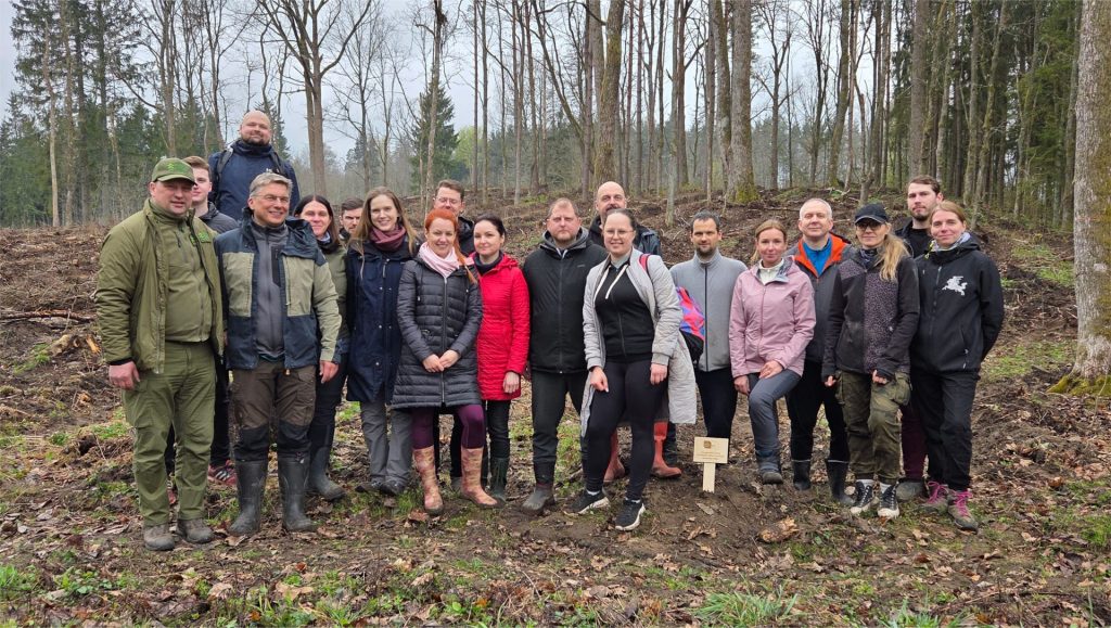 An annual tree planting tradition as a sustainability initiative