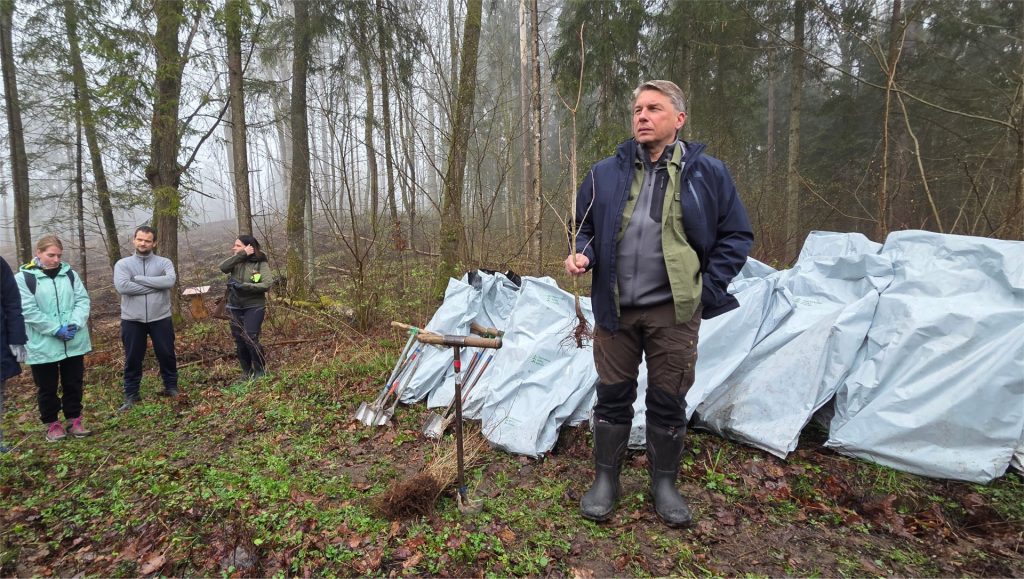 An annual tree planting tradition as a sustainability initiative