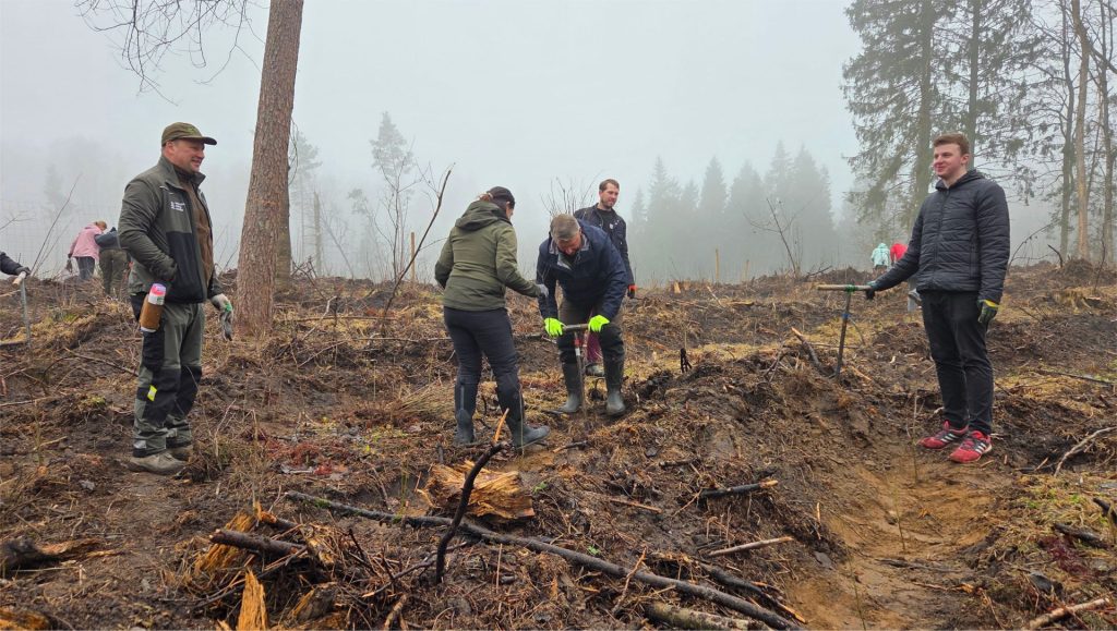 An annual tree planting tradition as a sustainability initiative