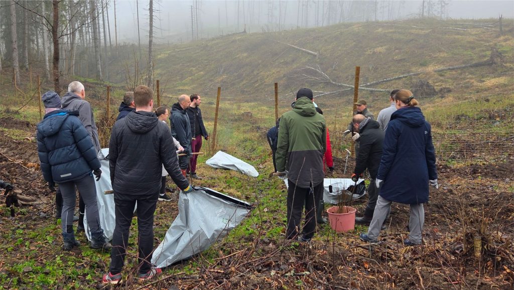 An annual tree planting tradition as a sustainability initiative